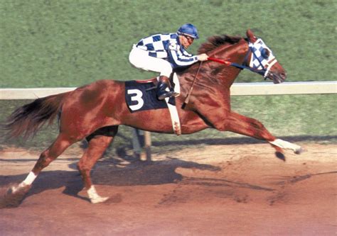 what happened to secretariat the horse